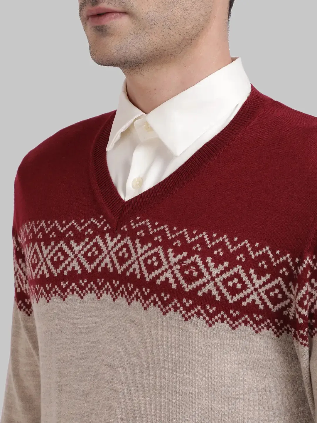 ColorPlus Men Maroon Tailored Fit Jacquard Cotton Full Sleeve V Neck Collar Sweaters