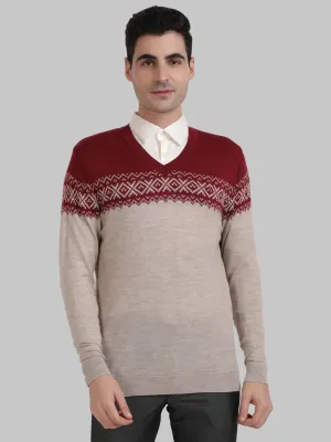 ColorPlus Men Maroon Tailored Fit Jacquard Cotton Full Sleeve V Neck Collar Sweaters