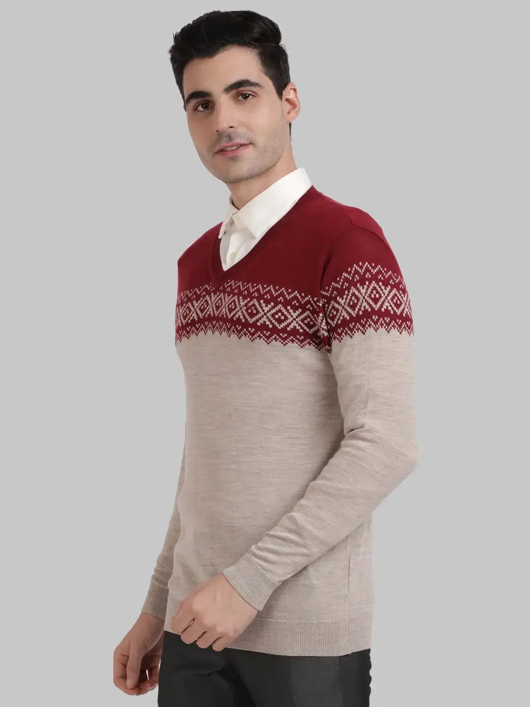ColorPlus Men Maroon Tailored Fit Jacquard Cotton Full Sleeve V Neck Collar Sweaters