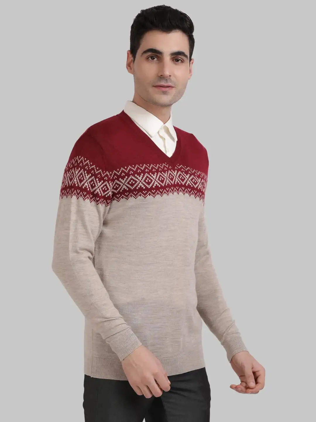 ColorPlus Men Maroon Tailored Fit Jacquard Cotton Full Sleeve V Neck Collar Sweaters