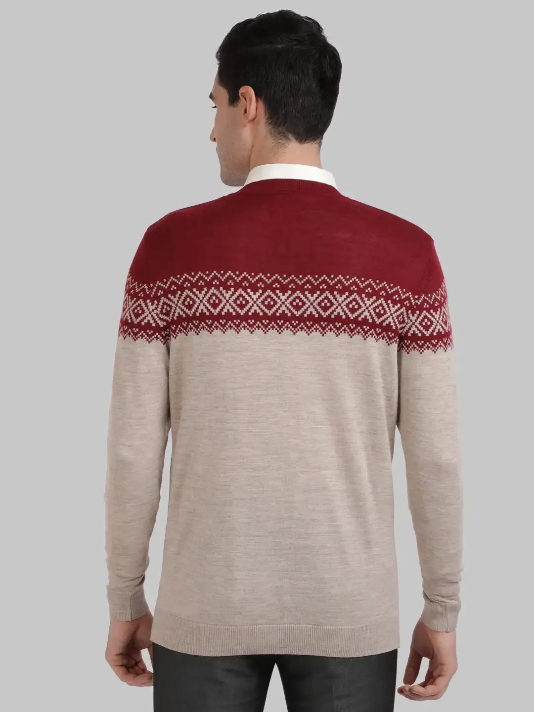 ColorPlus Men Maroon Tailored Fit Jacquard Cotton Full Sleeve V Neck Collar Sweaters